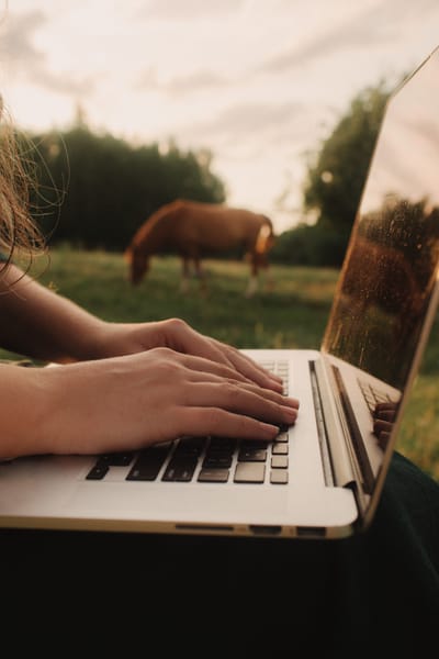 E-learning et conseils à distance
