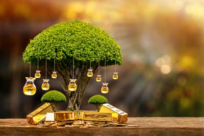 RITUAL DE PROSPERIDAD Y ABUNDANCIA