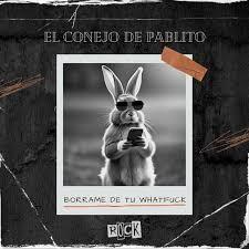 De El Conejo de Pablito a La Gata Rusa: un nuevo capítulo del rock uruguayo