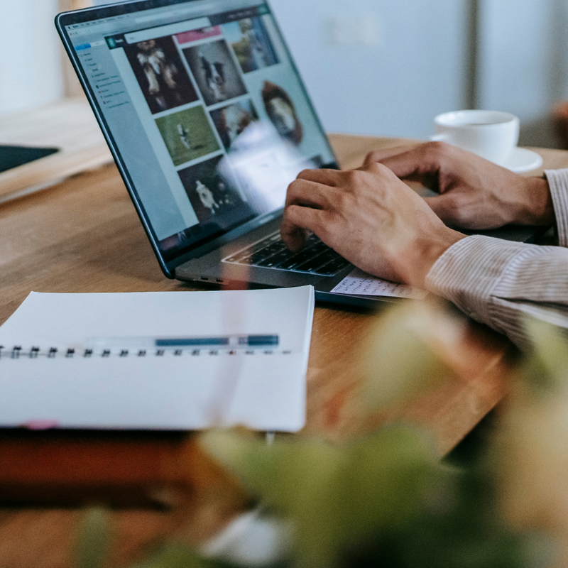 Bookkeeping for Freelancers & Contractors: How ShoreSource Business Solutions Can Help