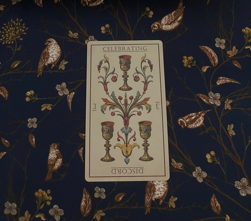 Single Card Reading