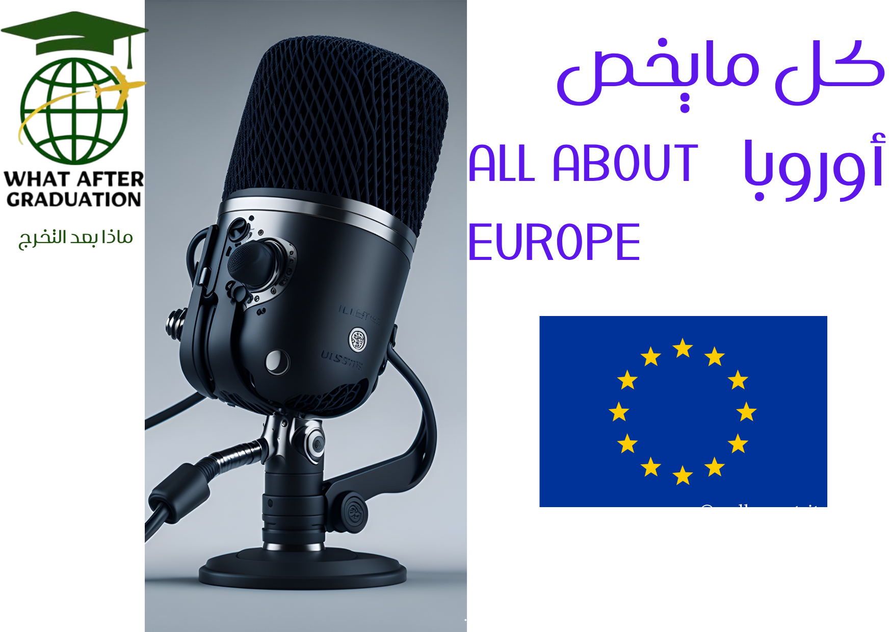 الإقامة الدائمة في فنلندا