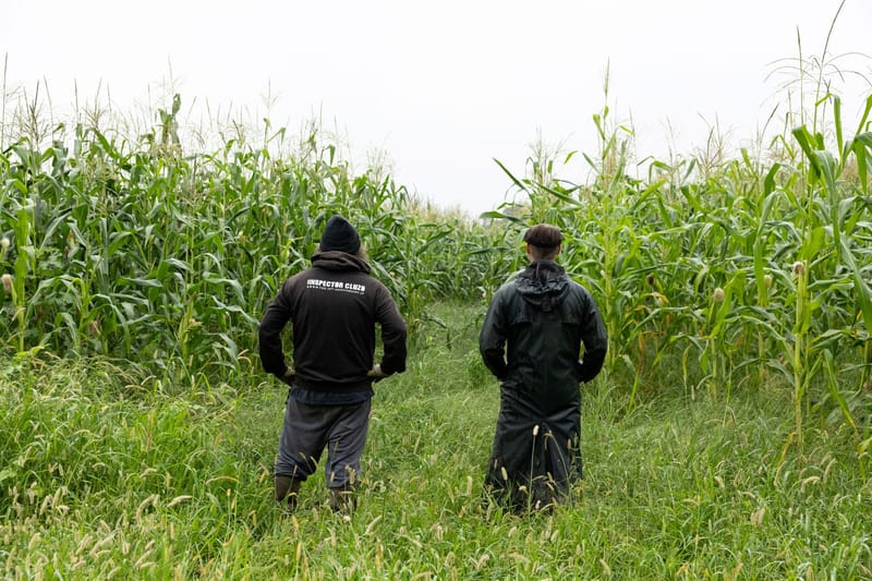 The Inspector Cluzo lanza su segundo sencillo de su próximo álbum de estudio, "As Stupid As You Can"