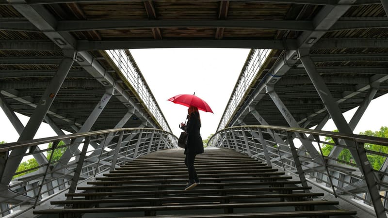 El ritmo compartido: la paz que florece al dejar de perseguir sombras
