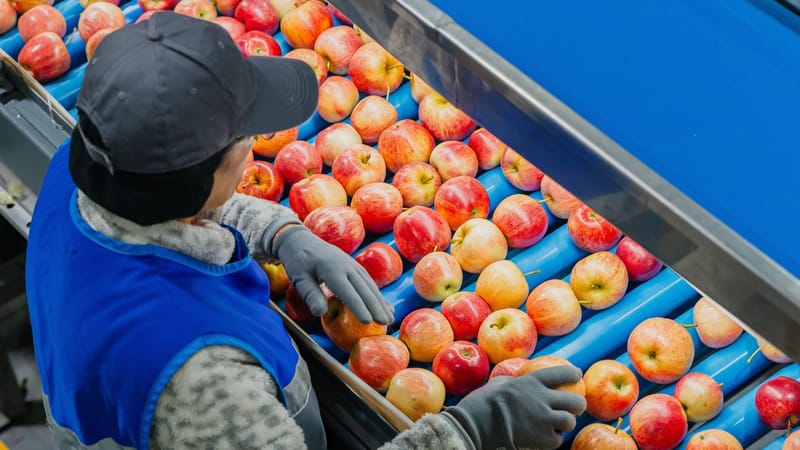 Copefrut celebra 70 años con foco en sostenibilidad: presenta su tercer Reporte bajo estándar GRI