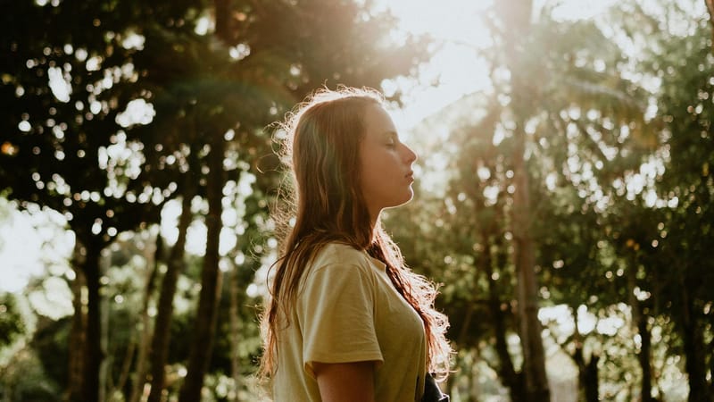 La puerta cerrada: un viaje psicológico hacia nuevos horizontes