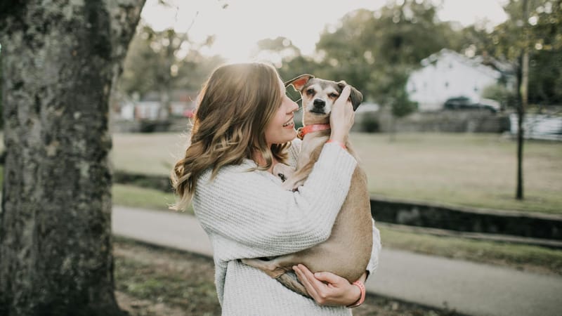 Las mascotas ganan espacio en PedidosYa: más de 210 toneladas de productos por delivery en un año