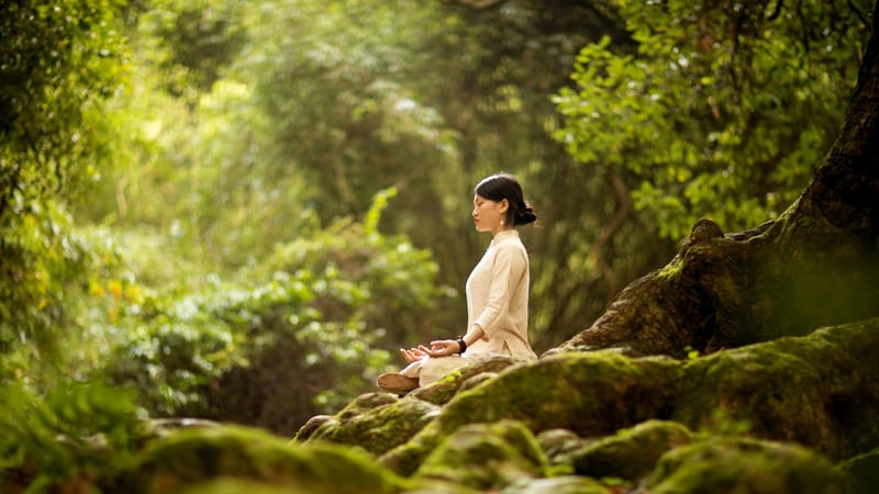 Ejercicios de respiración consciente: el manual psicológico para el control del estrés