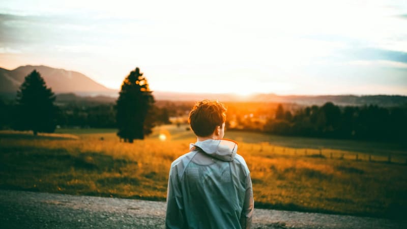 La psicoterapia de la desilusión: ¿por qué agradecerla es el acto supremo de liberación?