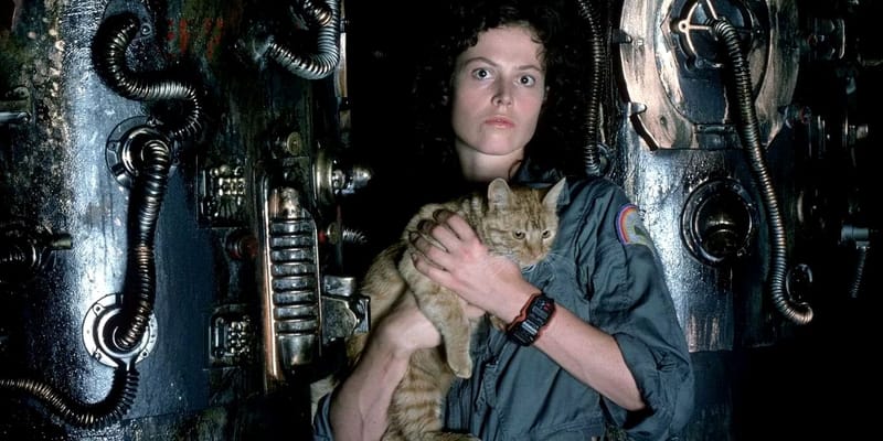 Halloween de contrastes: La oscuridad que Disney me permite ver en Chile