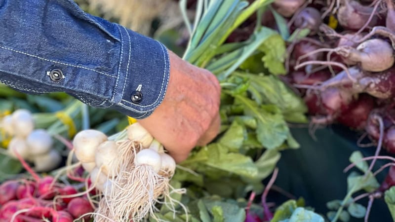 La modernización tributaria de las ferias libres avanza hacia una nueva etapa