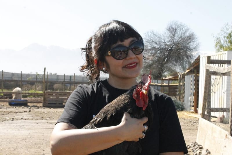 Enero Vegano: la tendencia que casi la mitad de la población quiere probar no se trata de perfección