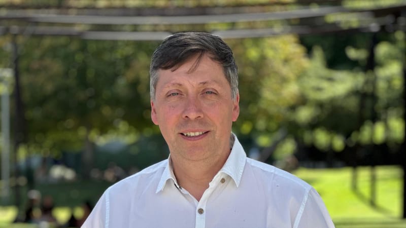 OMS alerta que hasta un 20 % de productos de salud en mercados informales presentan irregularidades: expertos apuntan a vacío regulatorio en Chile