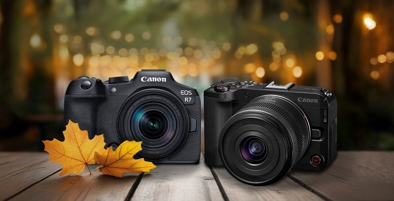 Otoño en foco: cómo capturar la magia de la temporada con fotografías llenas de color y luz