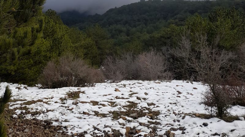 El silencio que se toca: ¿Cómo explicar la nieve a alguien que no tiene el sentido de la vista?
