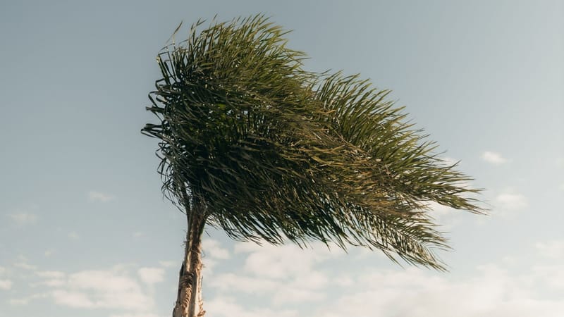 El tacto del cielo: ¿Cómo explicar el viento, la gran fuerza invisible?