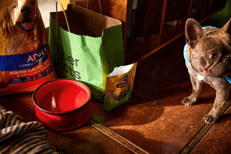 Los favoritos del delivery para celebrar el Día del Perro
