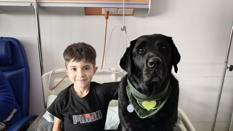 Reale Foundation y Fundación Tregua impulsan terapias asistidas con perros para mejorar el bienestar de cientos de personas