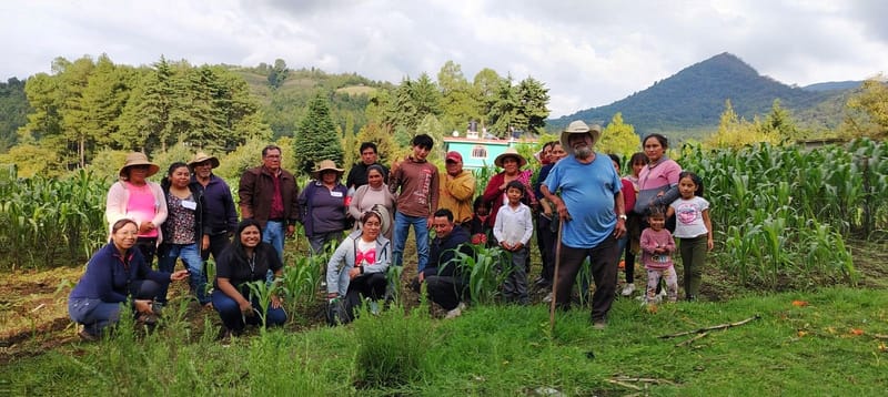Migración y falta de relevo generacional presionan las actividades productivas en comunidades rurales en México y Latam