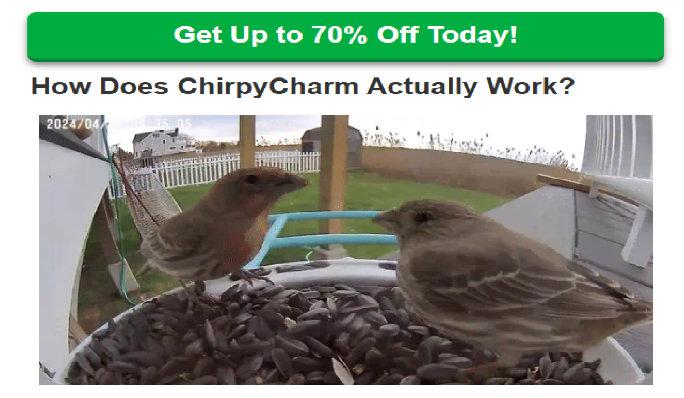 ChirpyCharm Camera Result After