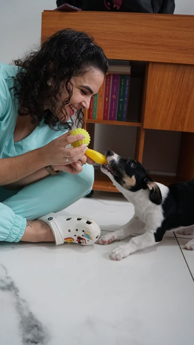 Consultas a Domicílio