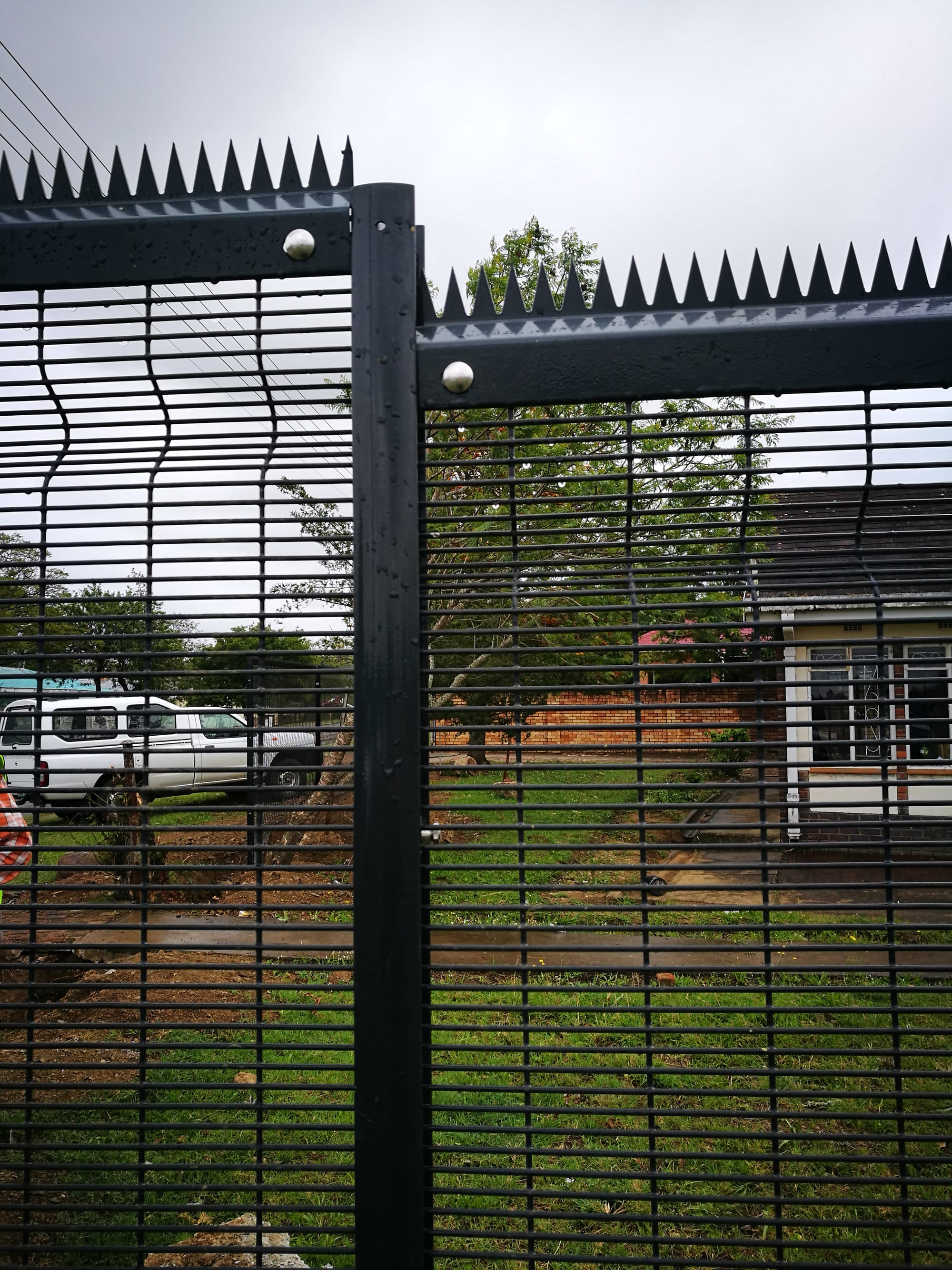 100x2.5mm Spikes - Optional