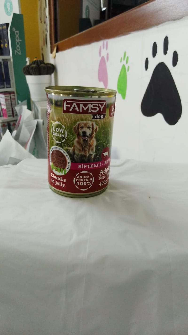 FAMSY KEDİ YAŞ MAMASI 400 GR