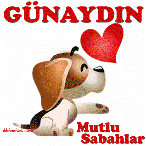 KÖPEK ÜRÜNLERİ