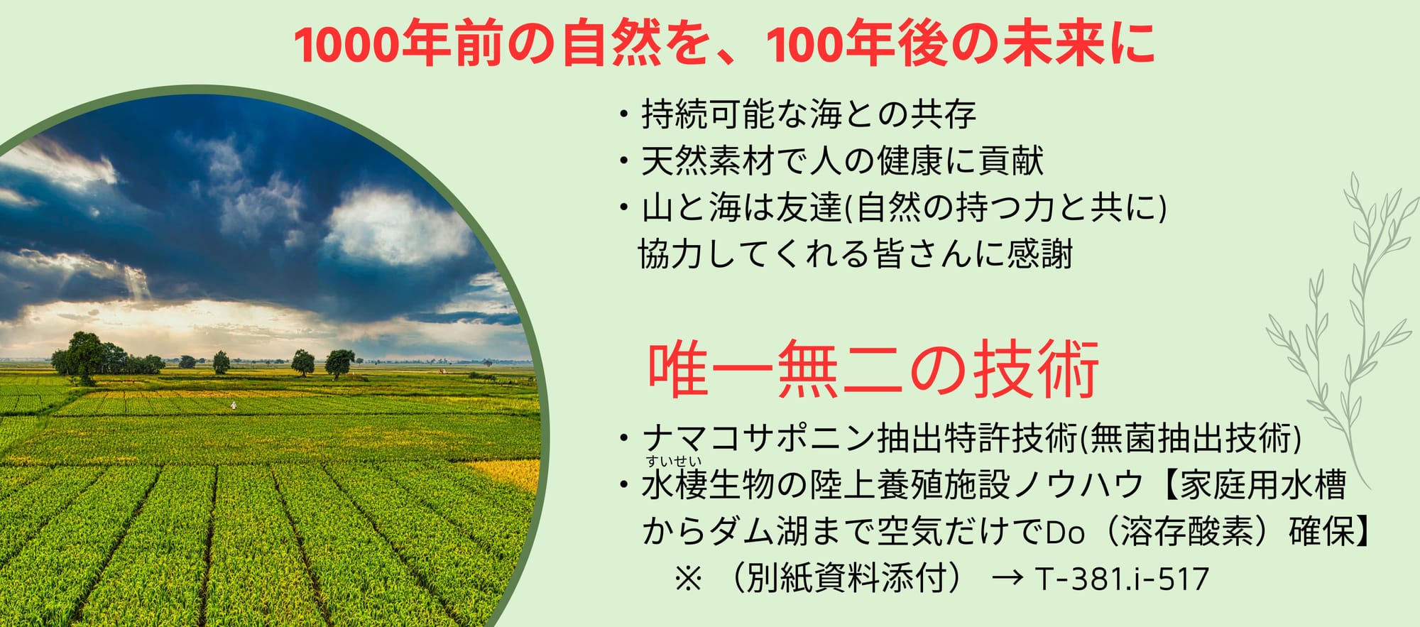 私たちの想い