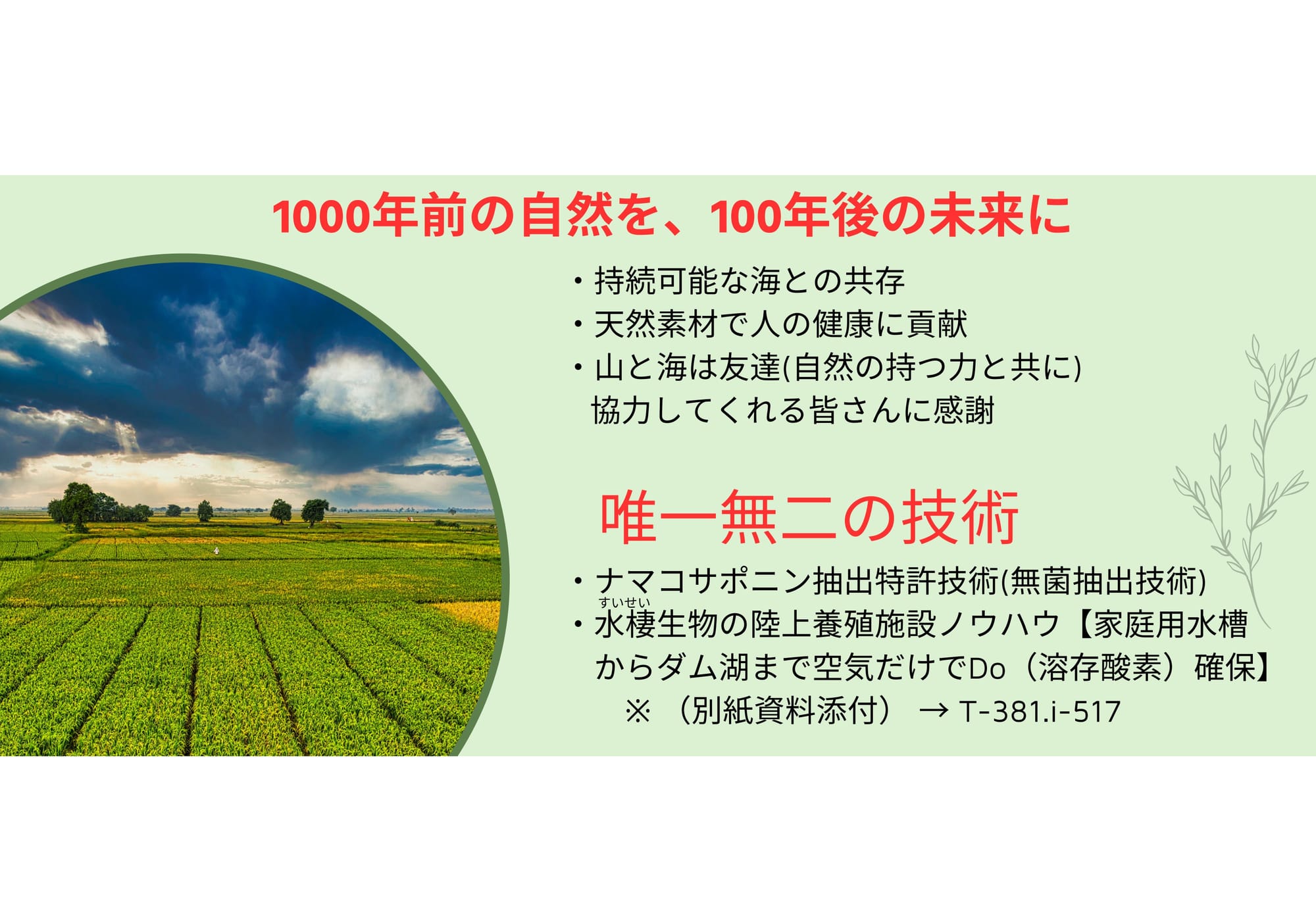 私たちの想い