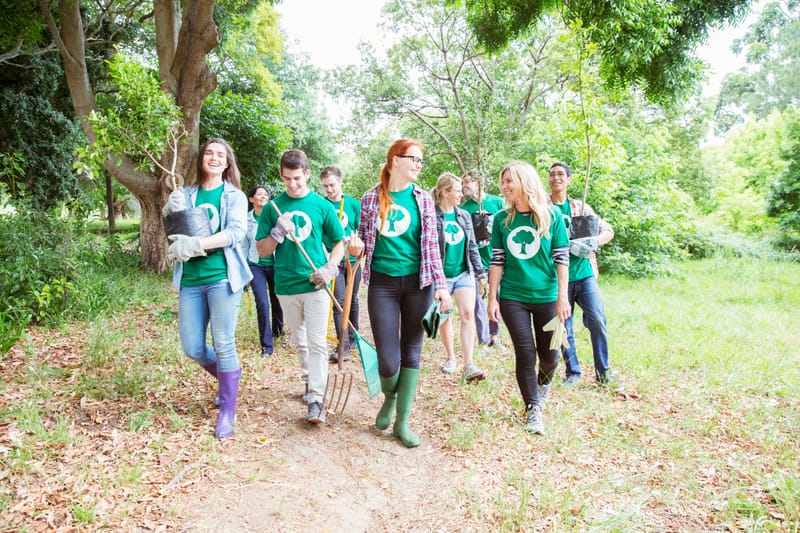 Nature of Cities: Backyard Ecology