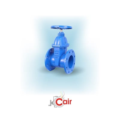 Resilient Seated Sluice Valve Manufacturer in Ahmedabad, Gujarat