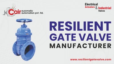 Resilient Seated Gate Valve manufacturer in India,