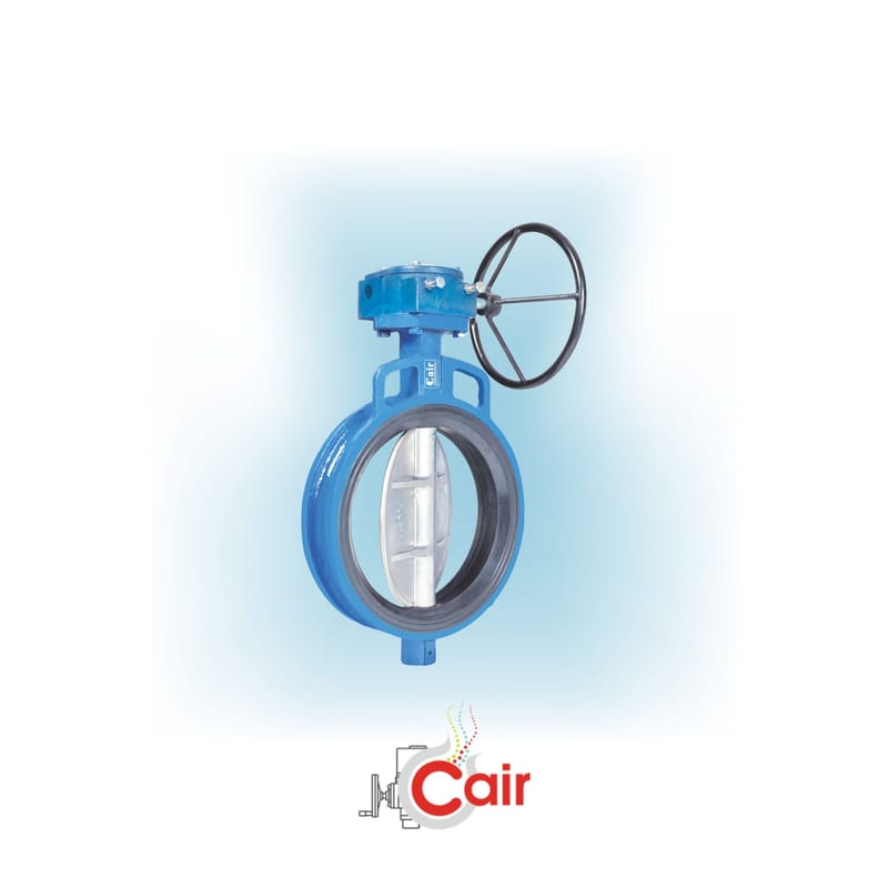 Top Rubber Lined Wafer Type Butterfly Valve Manufacturer in India