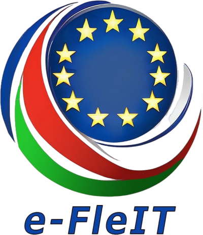 e-fieit