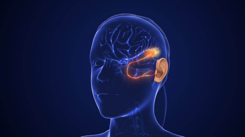 Os Impactos do Ruído no Envelhecimento do Ouvido e Como Evitá-los