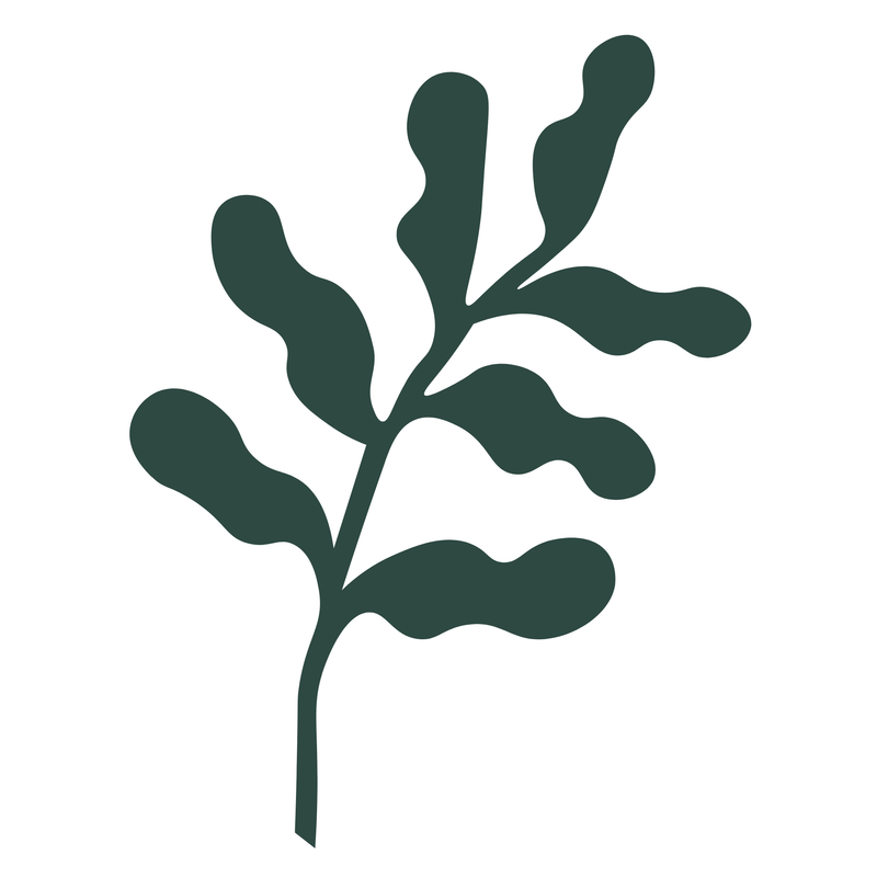 Holistic & Heart-Led Support