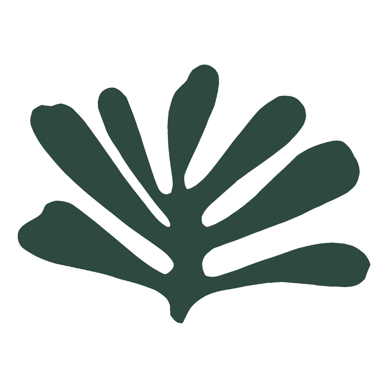 Nature-Inspired Practices That Soothe and Strengthen