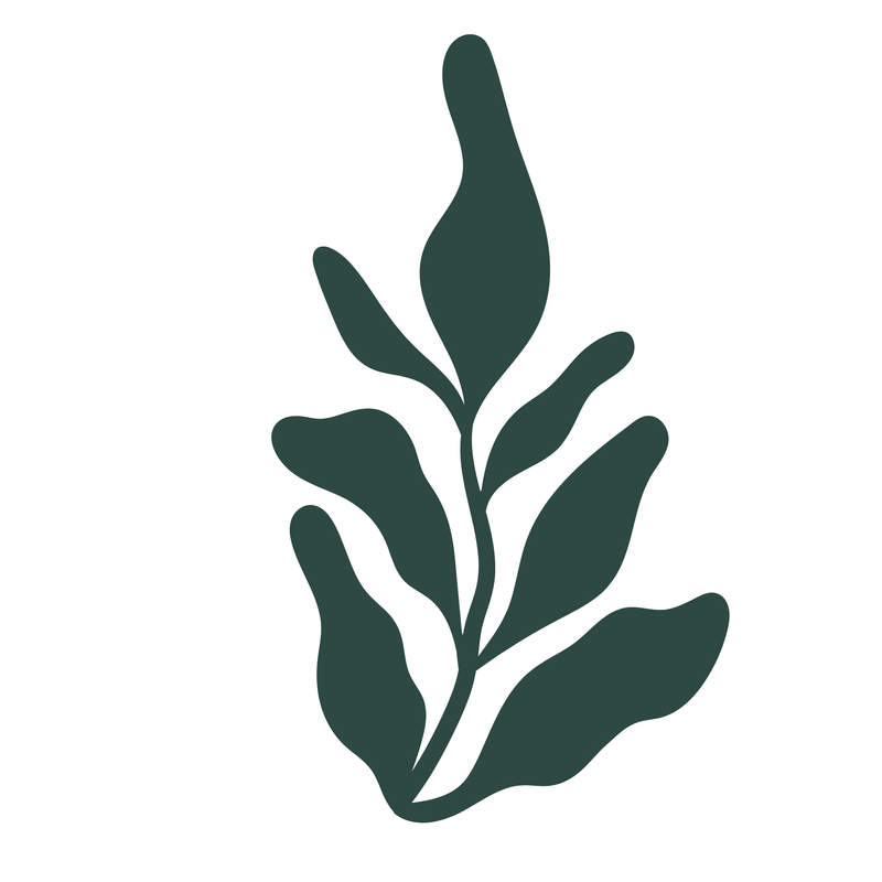 Certified Coaches & Mental Health Professionals