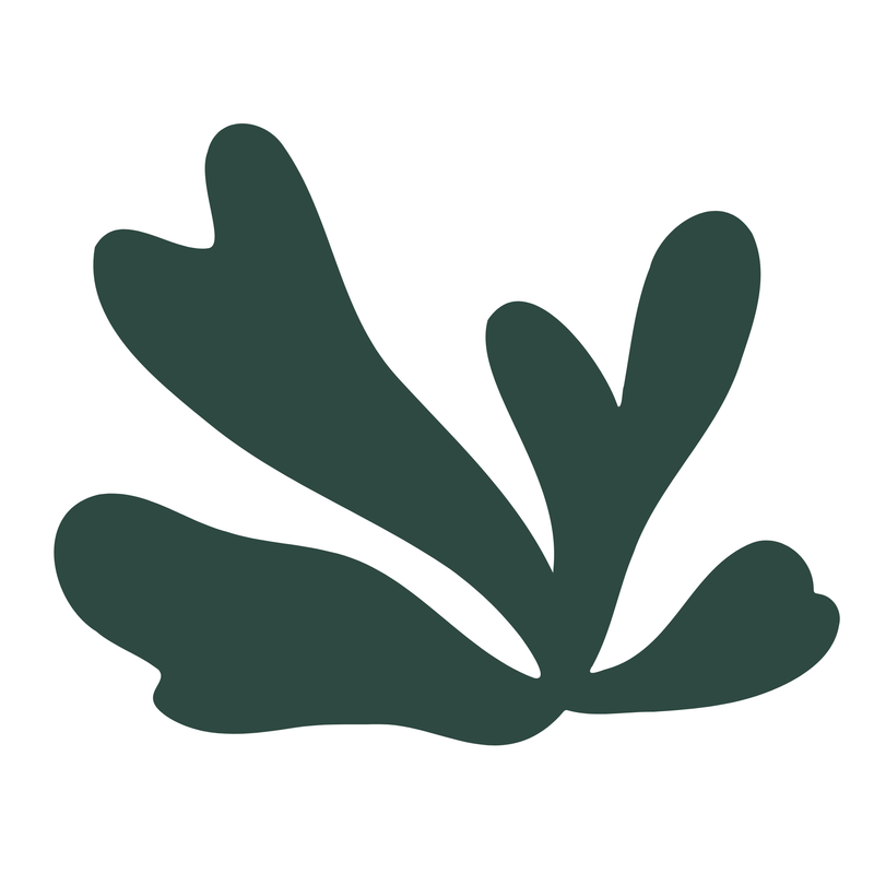 Personalized Plans Tailored to Your Needs