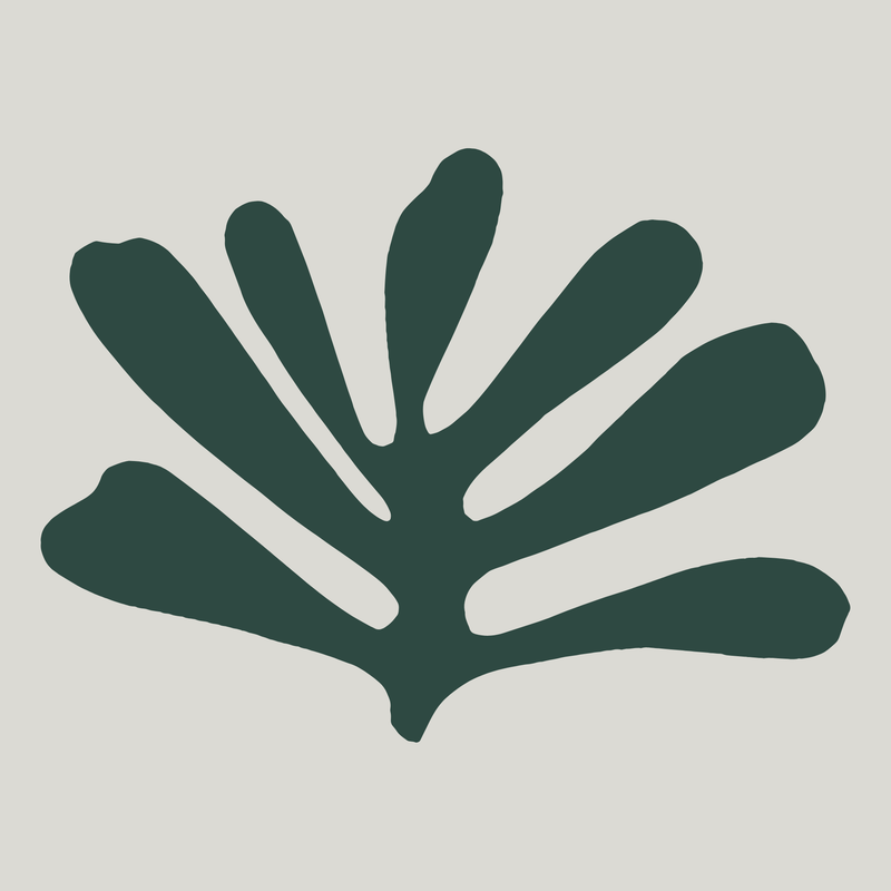 Anxiety &amp; Stress Management