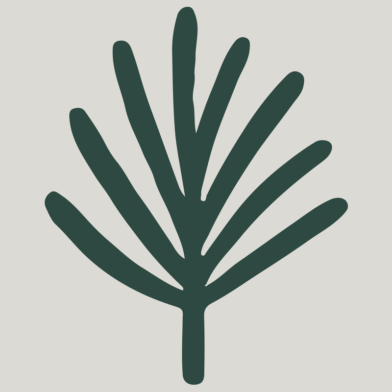 Life Transitions Support