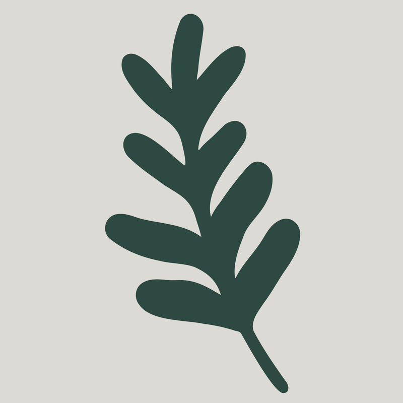 Creative Expression Therapy