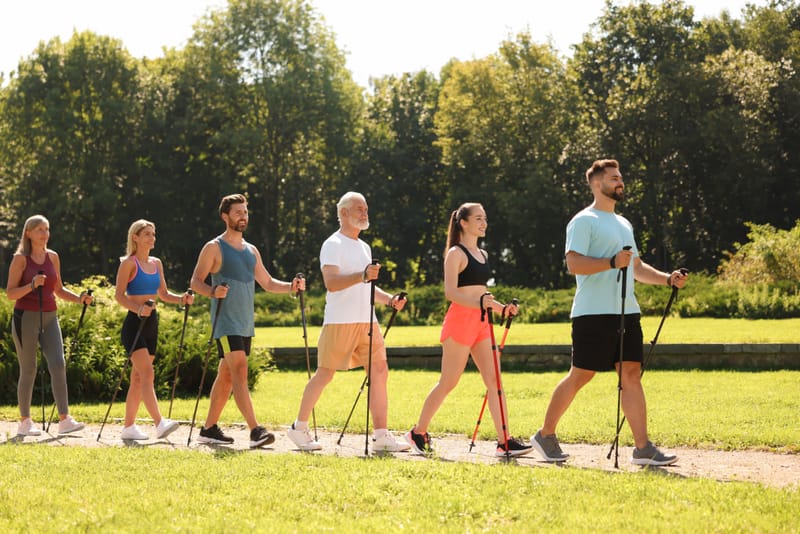 Technika Nordic Walking