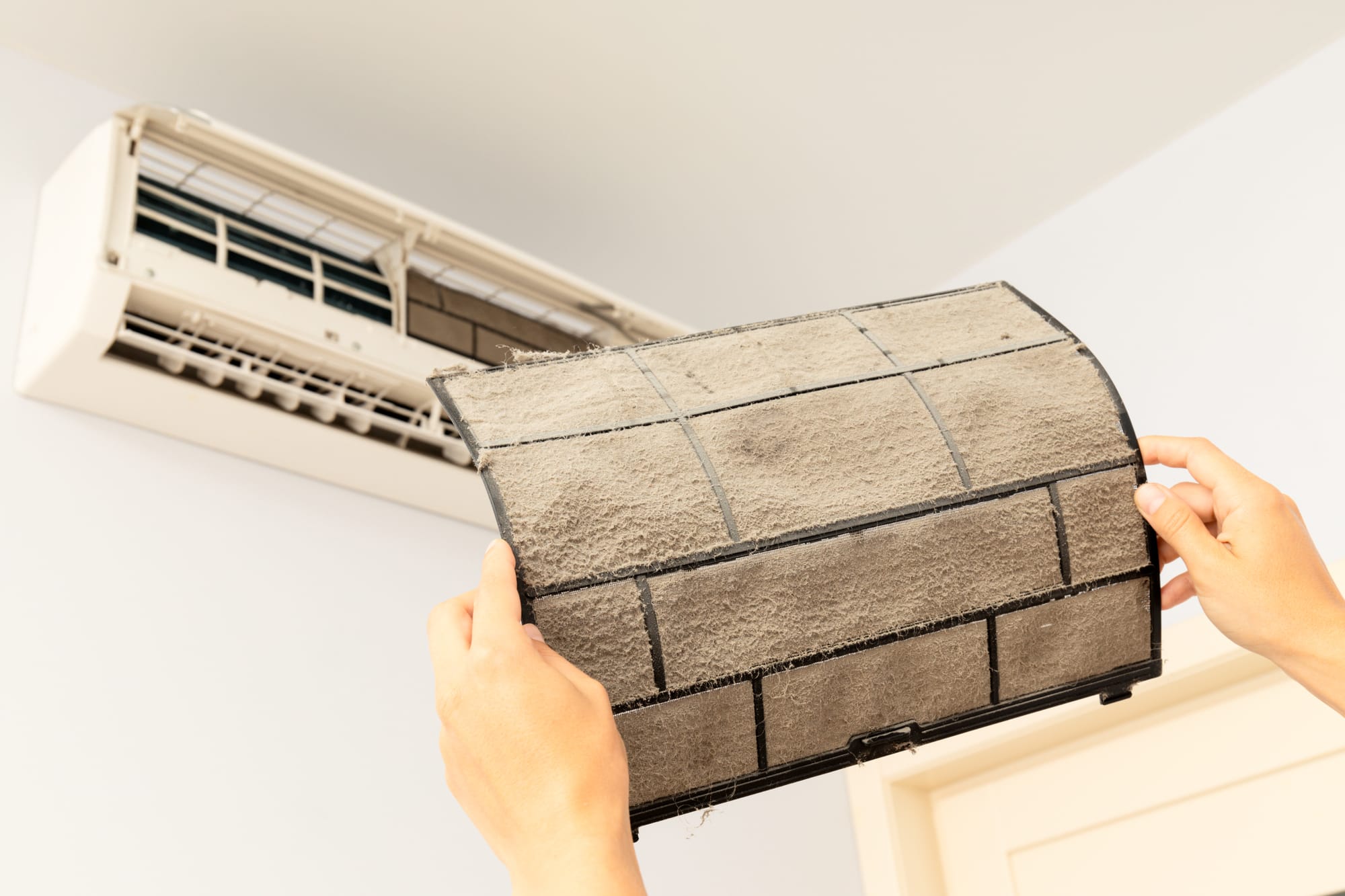 شركة تنظيف في الشارقة 0545807937