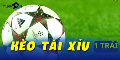 Tài Xỉu Bóng Đá tại Tỷ Lệ Kèo 88
