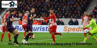 Soi Kèo Bayern Munich vs Freiburg – 21h30 Ngày 22/11: Bayern Quyết Tâm, Freiburg Kiên Cố