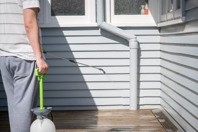 When Should You Book House Washing in Auckland? Seasonal Tips for Homeowners.