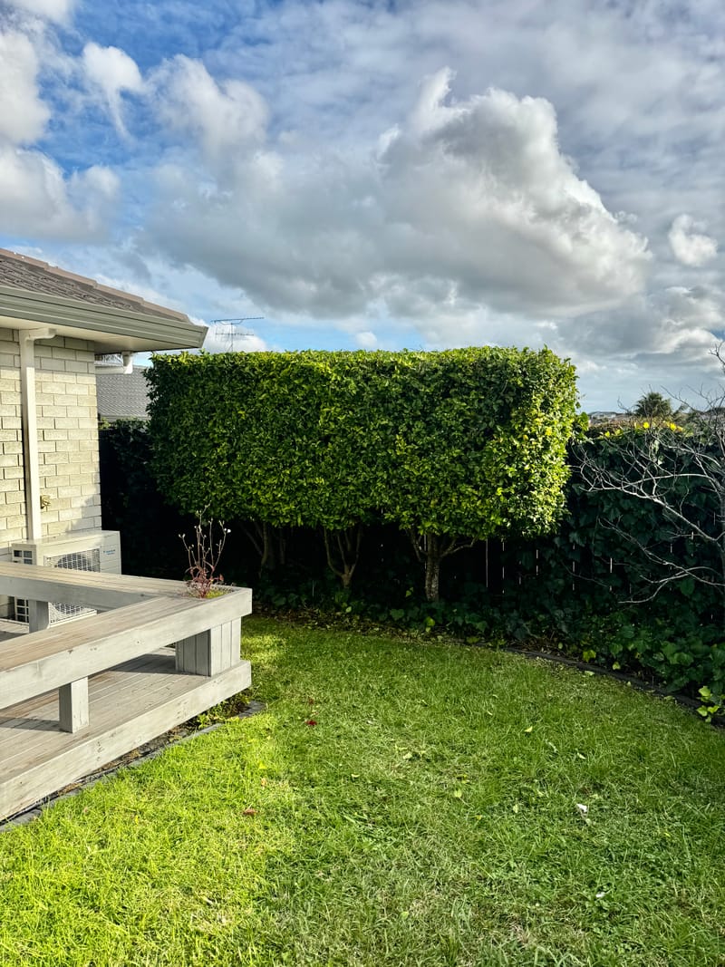 Hedge Trimming &amp; pruning