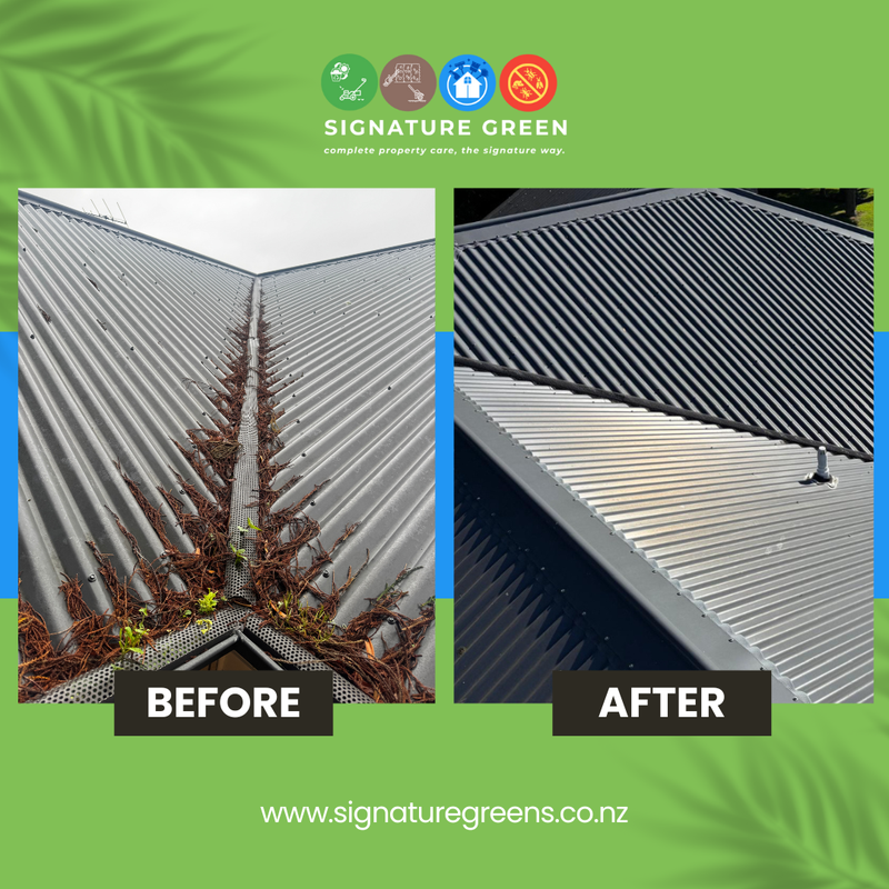 ROOF CLEANING & TREATMENT